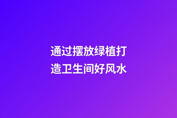 通过摆放绿植打造卫生间好风水