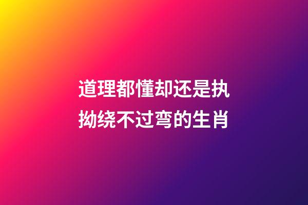 道理都懂却还是执拗绕不过弯的生肖