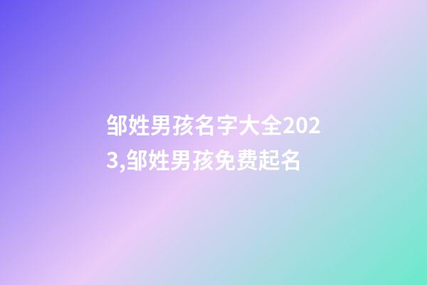 邹姓男孩名字大全2023,邹姓男孩免费起名
