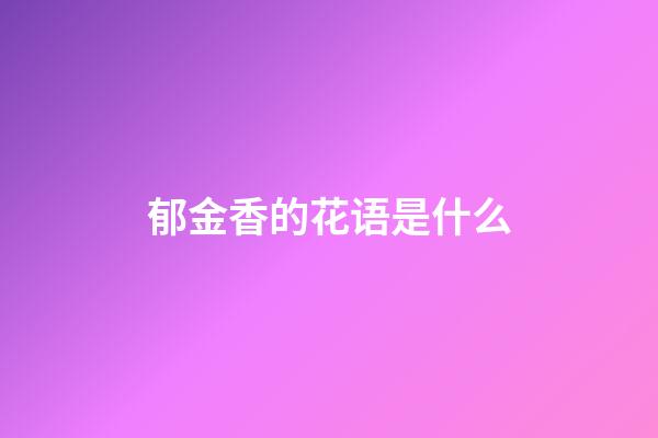 郁金香的花语是什么