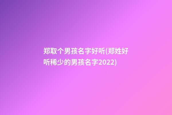 郑取个男孩名字好听(郑姓好听稀少的男孩名字2022)