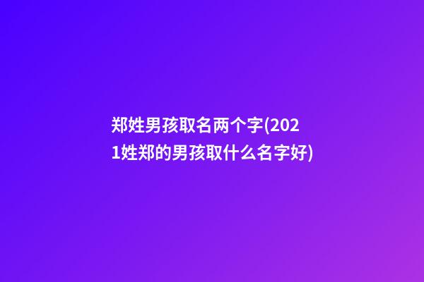 郑姓男孩取名两个字(2021姓郑的男孩取什么名字好)
