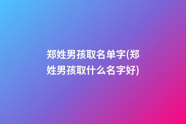 郑姓男孩取名单字(郑姓男孩取什么名字好)
