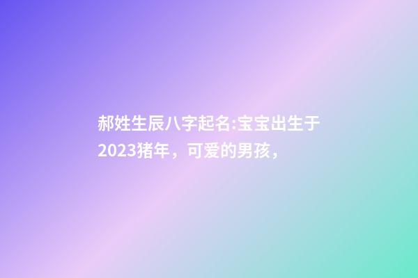 郝姓生辰八字起名:宝宝出生于2023猪年，可爱的男孩，