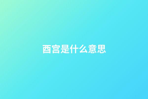 酉宫是什么意思