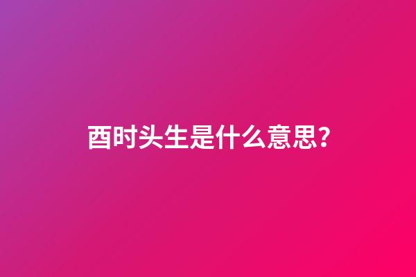 酉时头生是什么意思？