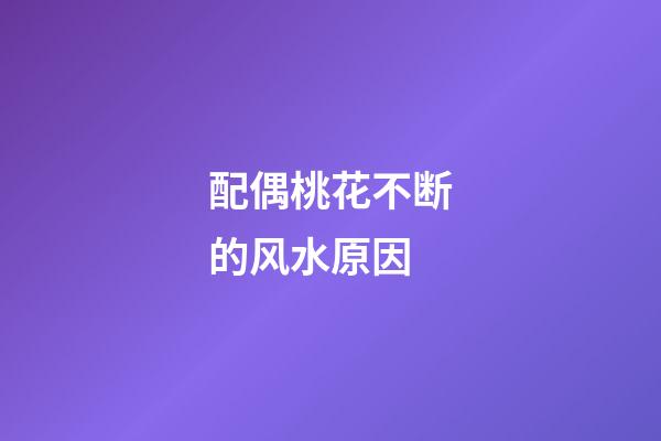 配偶桃花不断的风水原因