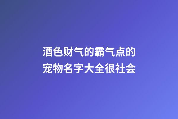 酒色财气的霸气点的宠物名字大全很社会