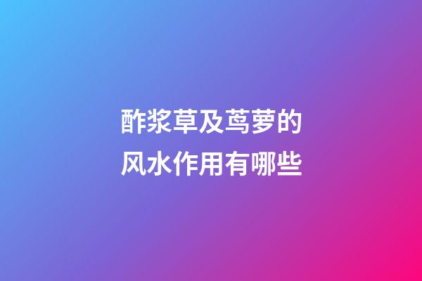 酢浆草及茑萝的风水作用有哪些?