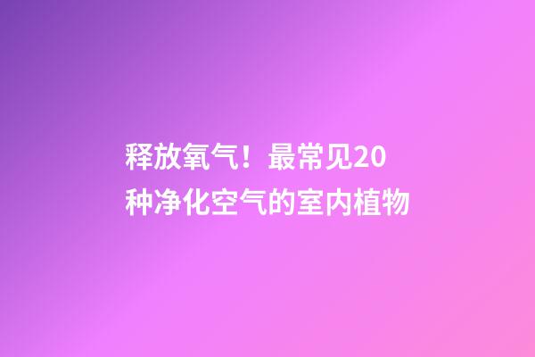 释放氧气！最常见20种净化空气的室内植物