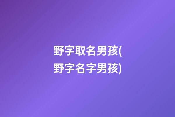 野字取名男孩(野字名字男孩)