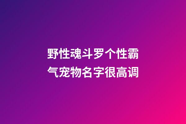 野性魂斗罗个性霸气宠物名字很高调