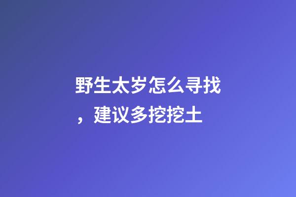 野生太岁怎么寻找，建议多挖挖土