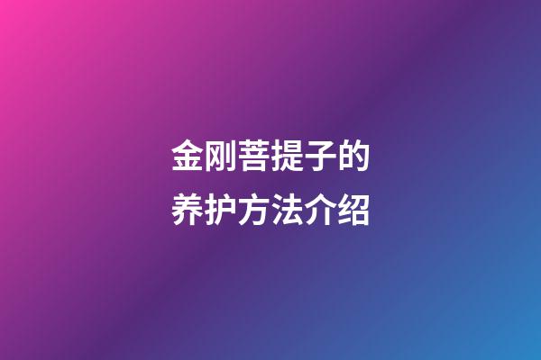 金刚菩提子的养护方法介绍