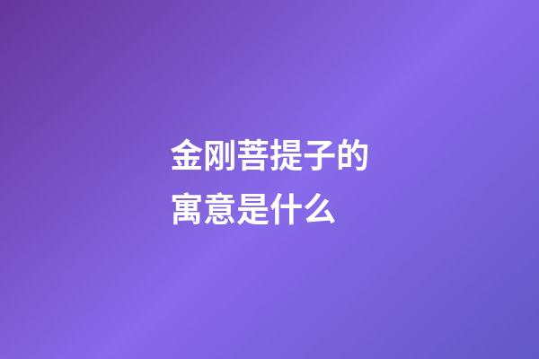 金刚菩提子的寓意是什么