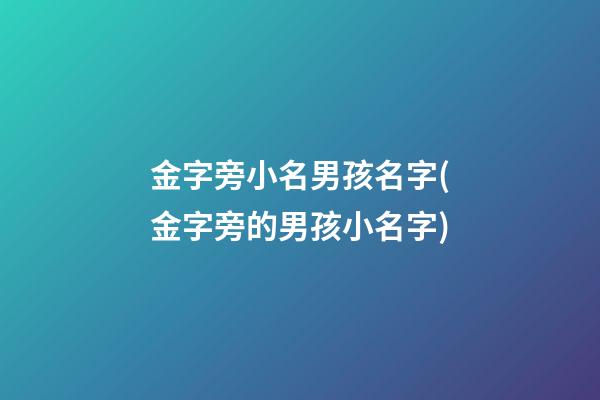 金字旁小名男孩名字(金字旁的男孩小名字)