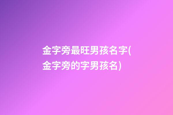 金字旁最旺男孩名字(金字旁的字男孩名)