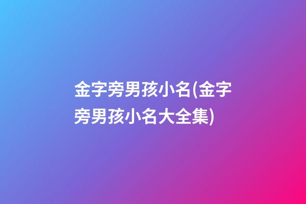 金字旁男孩小名(金字旁男孩小名大全集)