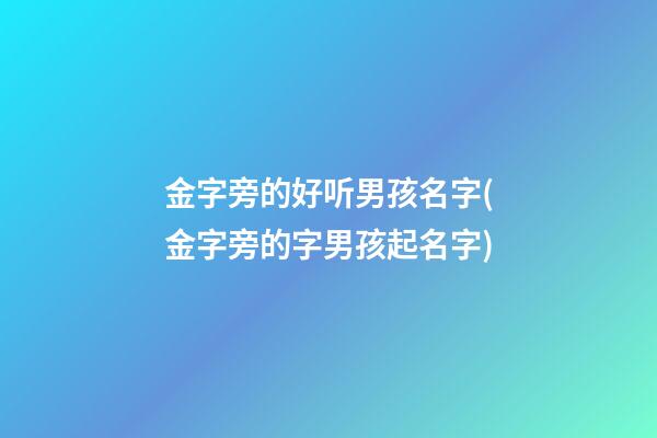 金字旁的好听男孩名字(金字旁的字男孩起名字)