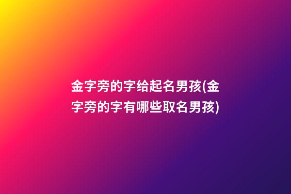 金字旁的字给起名男孩(金字旁的字有哪些取名男孩)