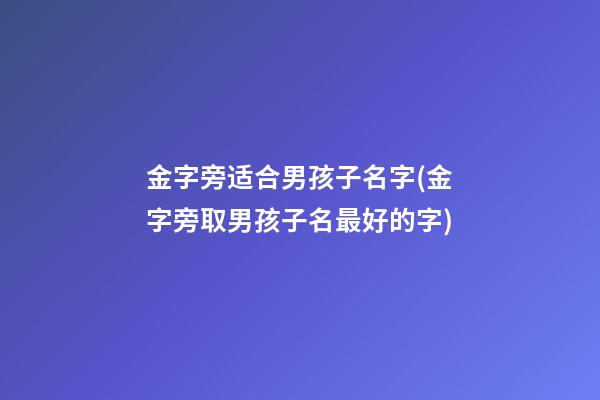 金字旁适合男孩子名字(金字旁取男孩子名最好的字)