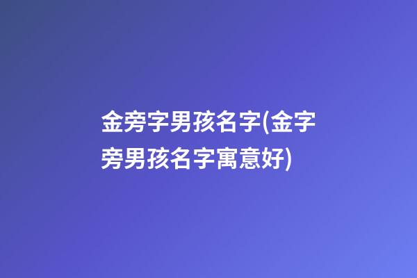 金旁字男孩名字(金字旁男孩名字寓意好)