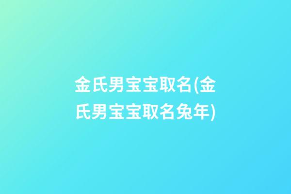 金氏男宝宝取名(金氏男宝宝取名兔年)