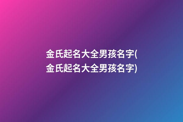 金氏起名大全男孩名字(金氏起名大全男孩名字)