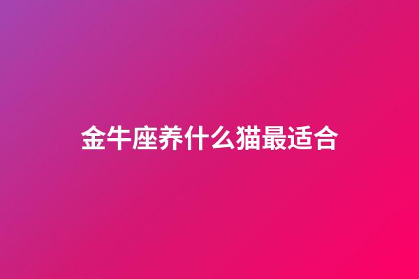 金牛座养什么猫最适合-第1张-星座运势-玄机派