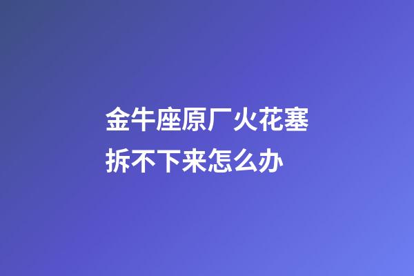 金牛座原厂火花塞拆不下来怎么办-第1张-星座运势-玄机派