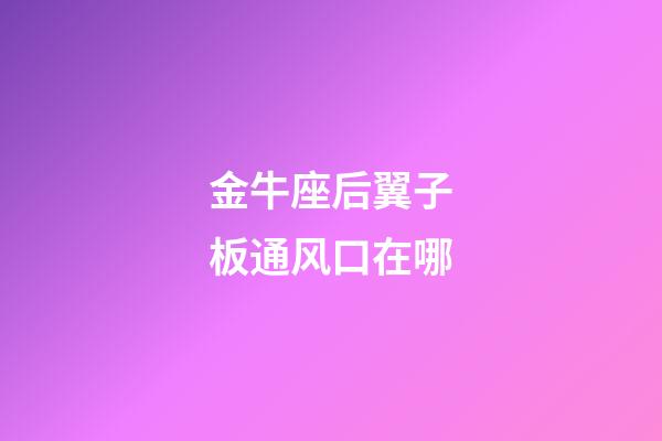 金牛座后翼子板通风口在哪-第1张-星座运势-玄机派