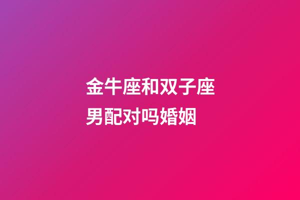 金牛座和双子座男配对吗婚姻-第1张-星座运势-玄机派