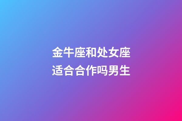 金牛座和处女座适合合作吗男生-第1张-星座运势-玄机派