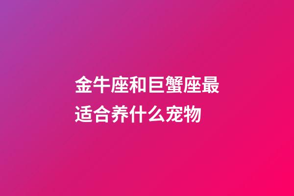 金牛座和巨蟹座最适合养什么宠物-第1张-星座运势-玄机派