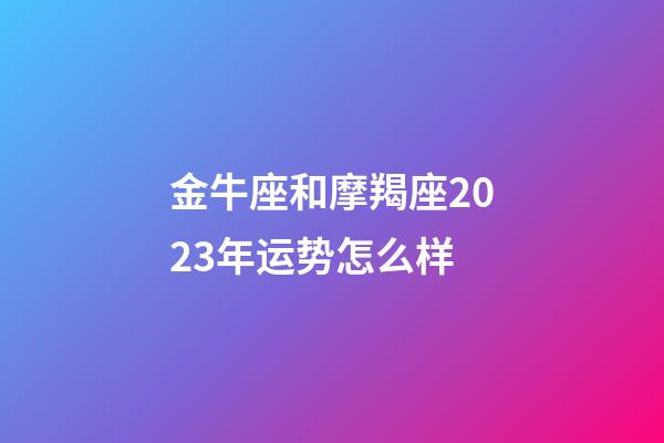 金牛座和摩羯座2023年运势怎么样-第1张-星座运势-玄机派