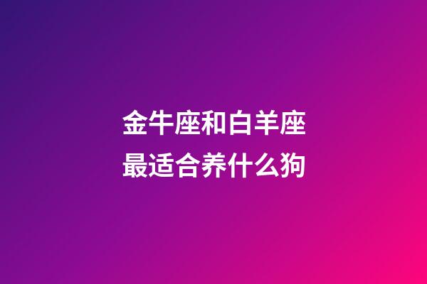 金牛座和白羊座最适合养什么狗-第1张-星座运势-玄机派