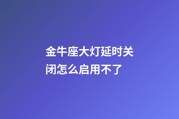 金牛座大灯延时关闭怎么启用不了