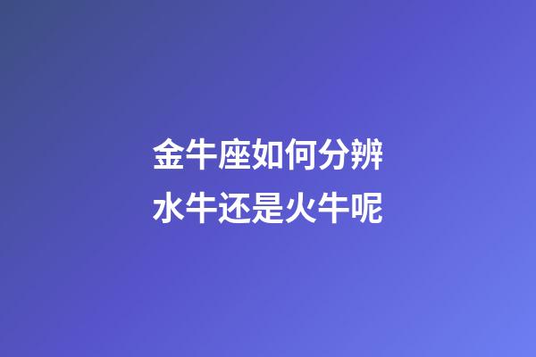 金牛座如何分辨水牛还是火牛呢-第1张-星座运势-玄机派