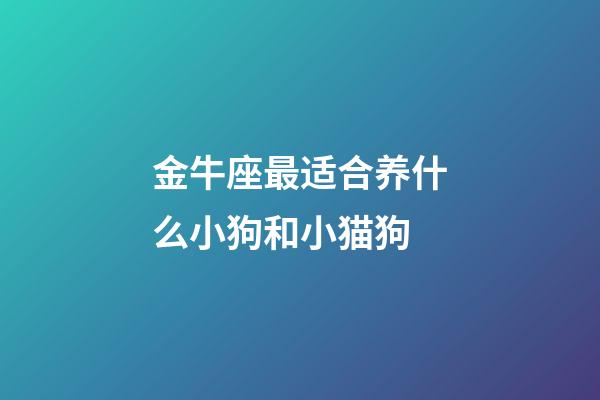 金牛座最适合养什么小狗和小猫狗-第1张-星座运势-玄机派