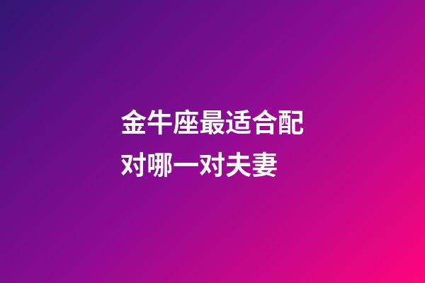 金牛座最适合配对哪一对夫妻-第1张-星座运势-玄机派