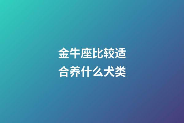 金牛座比较适合养什么犬类-第1张-星座运势-玄机派
