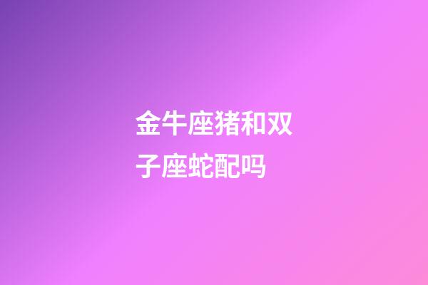 金牛座猪和双子座蛇配吗-第1张-星座运势-玄机派