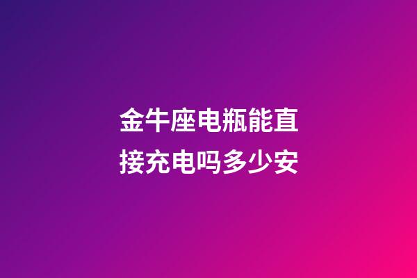 金牛座电瓶能直接充电吗多少安