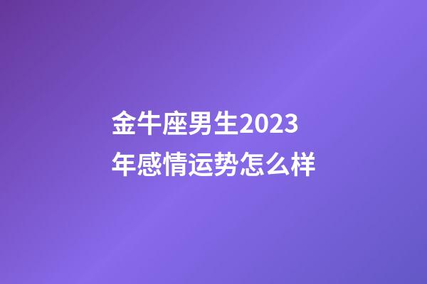 金牛座男生2023年感情运势怎么样-第1张-星座运势-玄机派