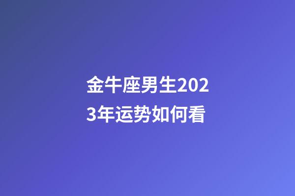 金牛座男生2023年运势如何看-第1张-星座运势-玄机派