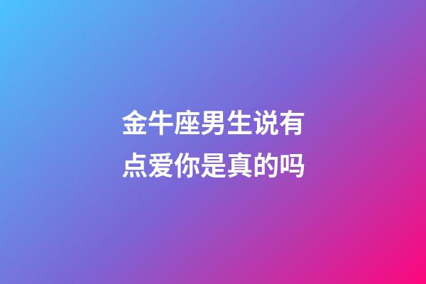 金牛座男生说有点爱你是真的吗-第1张-星座运势-玄机派