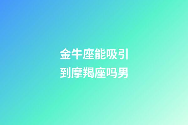 金牛座能吸引到摩羯座吗男-第1张-星座运势-玄机派