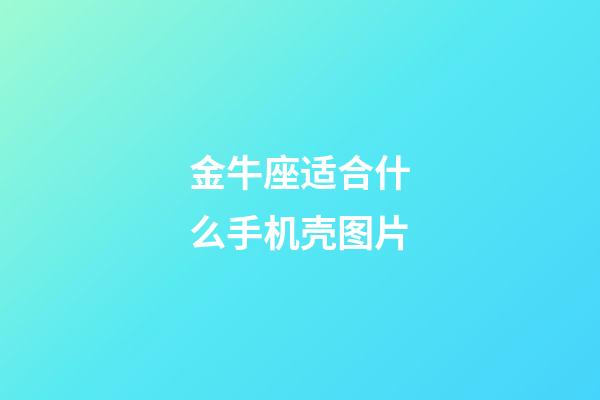 金牛座适合什么手机壳图片-第1张-星座运势-玄机派