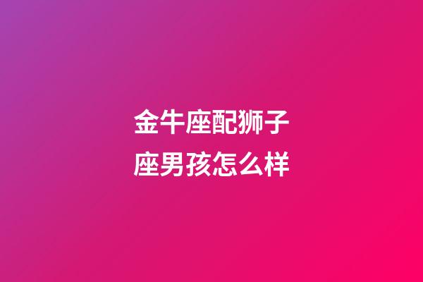 金牛座配狮子座男孩怎么样-第1张-星座运势-玄机派