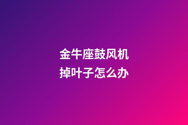 金牛座鼓风机掉叶子怎么办-第1张-星座运势-玄机派